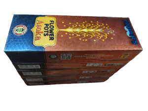 Flower Pot  Asokha (10 Pc)