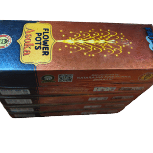flower pot asokha (10 pc)