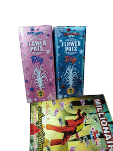 Flower Pot Big (10 Pc)